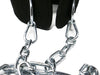 Premium Dipping Belt with the Longest Chain 47 inch (120cm) for Fitness Dips and Pull Up by Armageddon Sports - Armageddon Sports